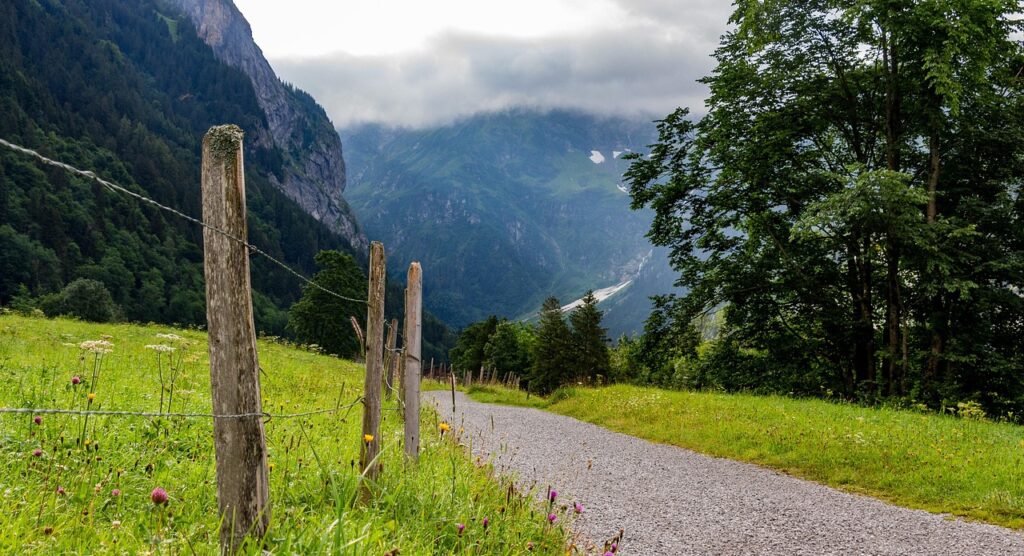 beginner-friendly-trail