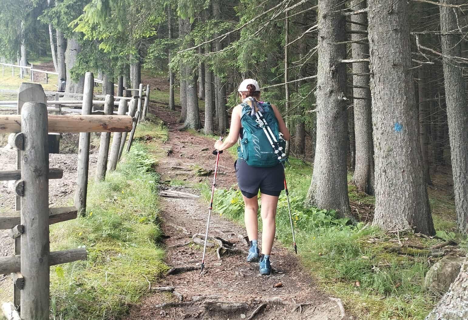 hiker hiking with the poles